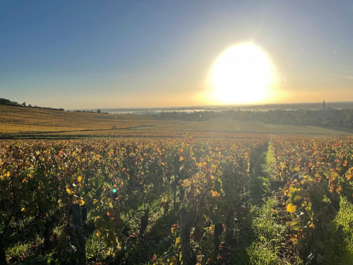 Le Clos De Miribel Givry  ภายนอก รูปภาพ