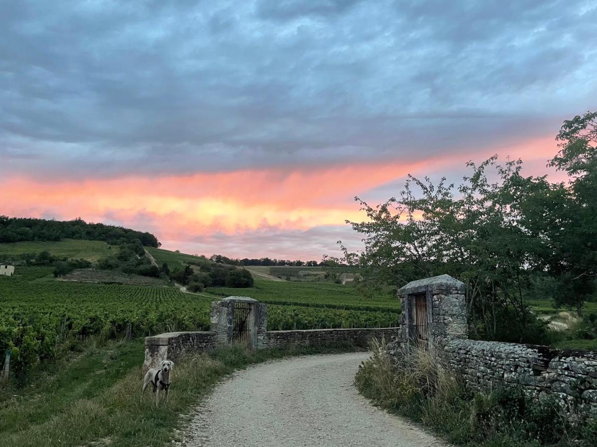 Le Clos De Miribel Givry  ภายนอก รูปภาพ